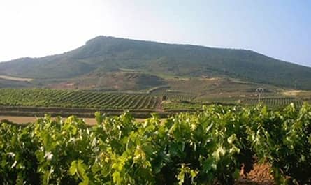 Weingut Benjamin Romeo